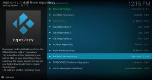 Install from Kodi Add-on Repository