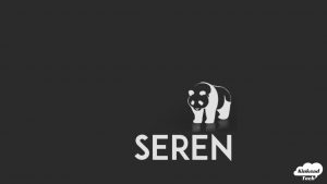 Seren Kodi Add-on